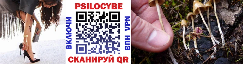 Галлюциногенные грибы Psilocybine cubensis  Сибай 