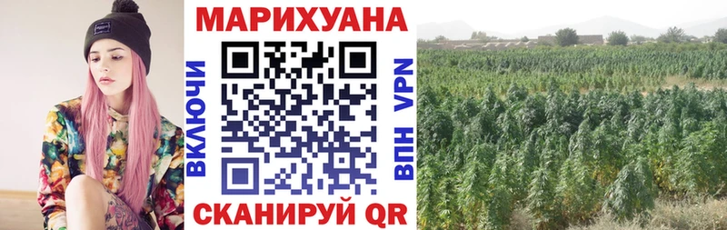 Марихуана план  закладки  Сибай 